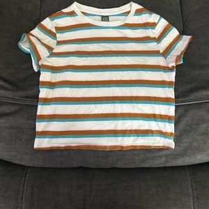 Brown, White, and Teal Striped crop top
